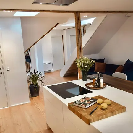 Lejlighed Penthouse With Private Rooftop Terrace København