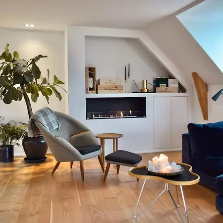 Penthouse With Private Rooftop Terrace * Kodaň