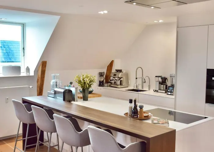 Penthouse With Private Rooftop Terrace Kodaň