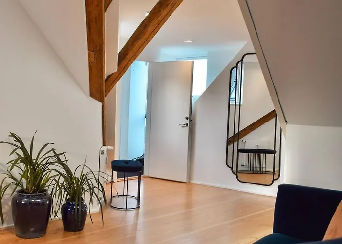 Penthouse With Private Rooftop Terrace * Kodaň